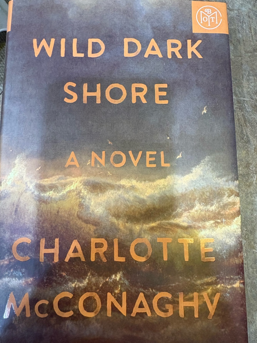 BOTM Wild Dark Shore